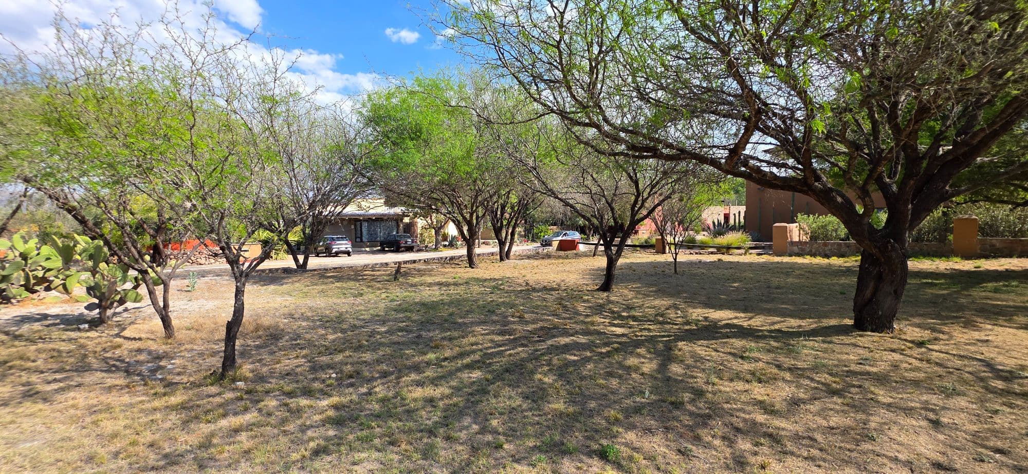 Lot for Sale in Los Labradores — Los Labradores, San Miguel de Allende — photo 10 — mature shade trees, rustic charm grounds