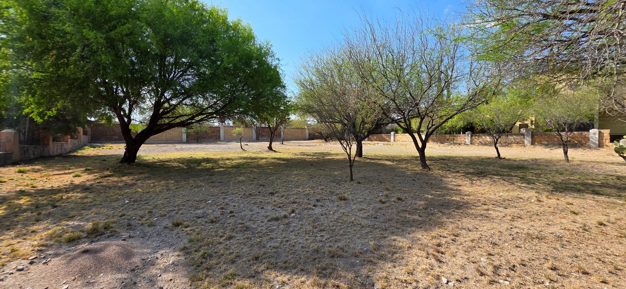 Lot for Sale in Los Labradores — Los Labradores, San Miguel de Allende — photo 6 — spacious grounds with mature shade trees