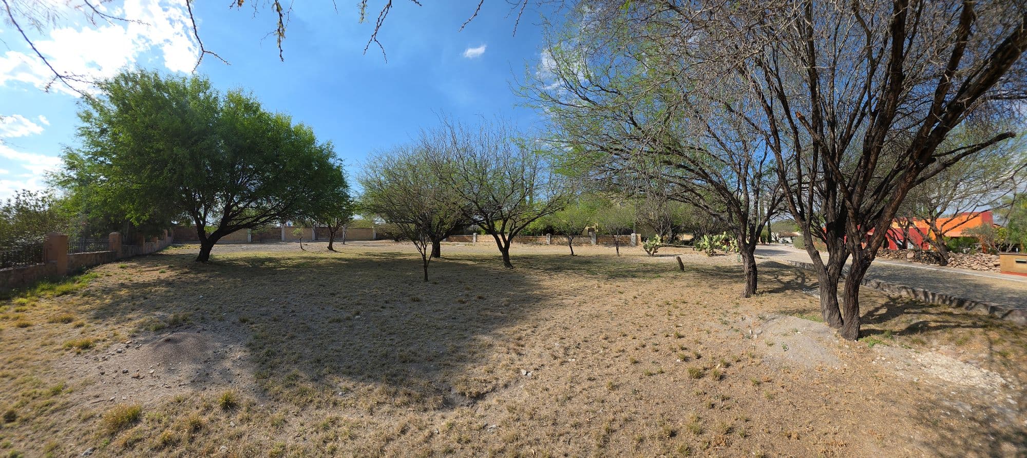 Lot for Sale in Los Labradores — Los Labradores, San Miguel de Allende — photo 5 — mature garden with serene shade trees
