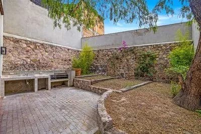 Casa Bamboo — Ojo de Agua, San Miguel de Allende — photo 22 — serene courtyard with mature landscaping