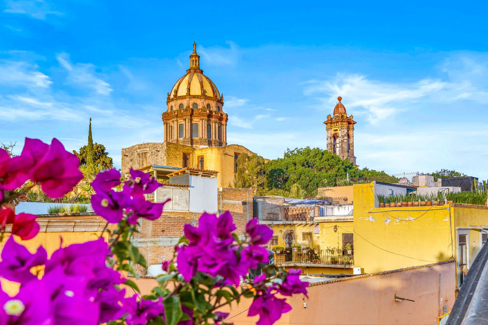 Casa Maria — San Miguel de Allende Centro, San Miguel de Allende — photo 30 — colonial charm meets vibrant garden views