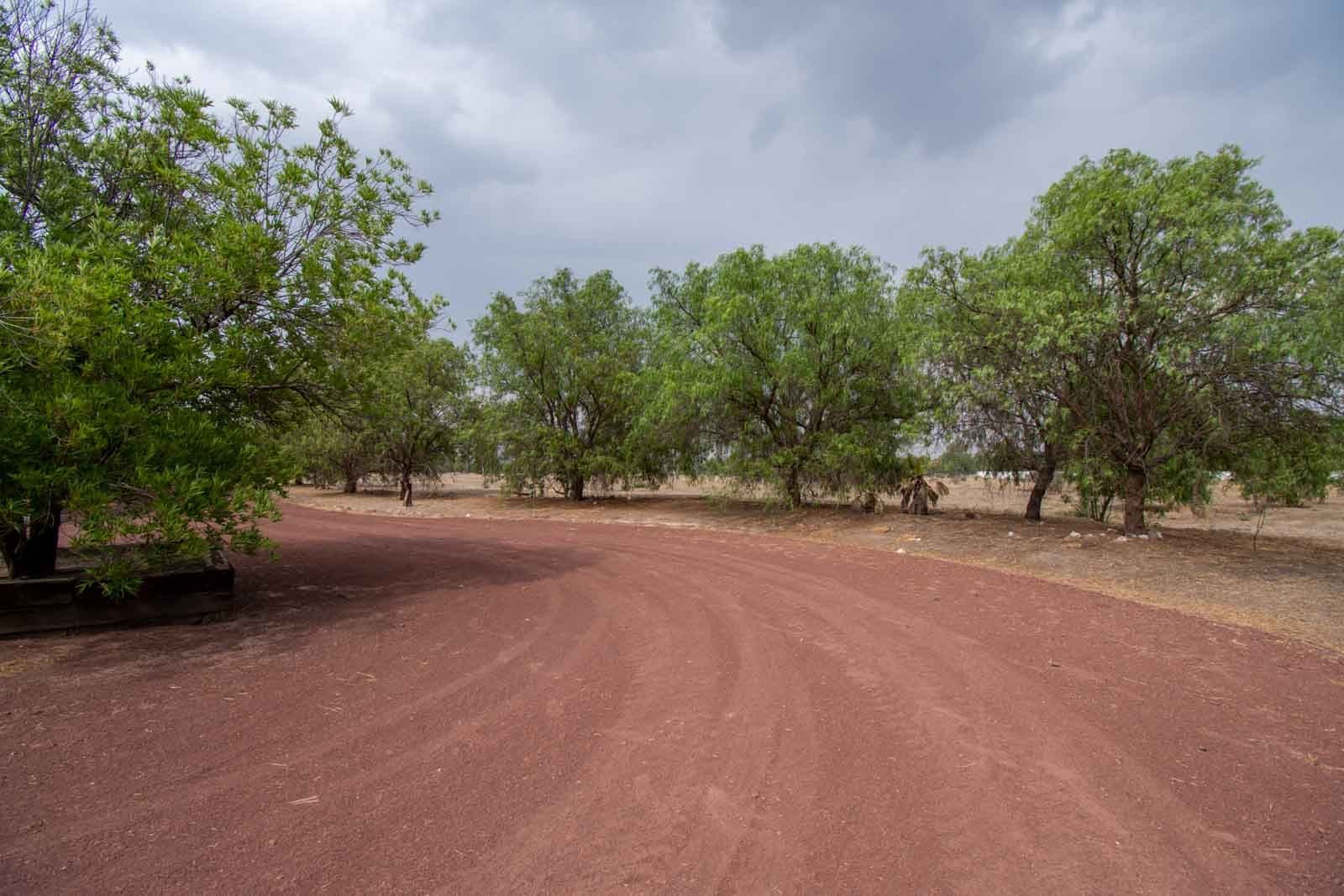 Las Fincas Lot 15 — Lindavista, San Miguel de Allende — photo 10 — serene tree-lined land with rustic charm
