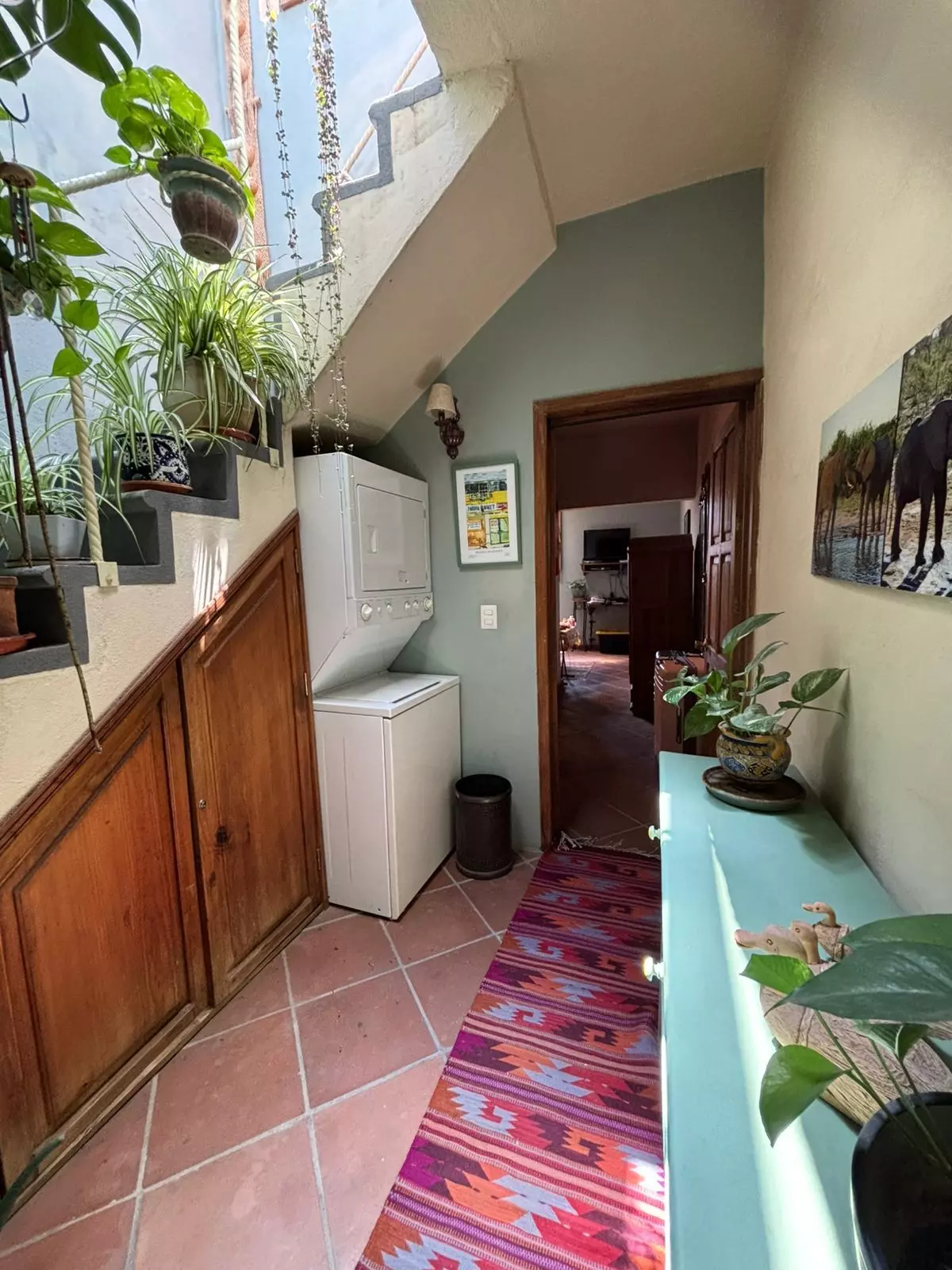 Casa Concha — Guadalupe, San Miguel de Allende — photo 2 — charming colonial laundry with abundant light