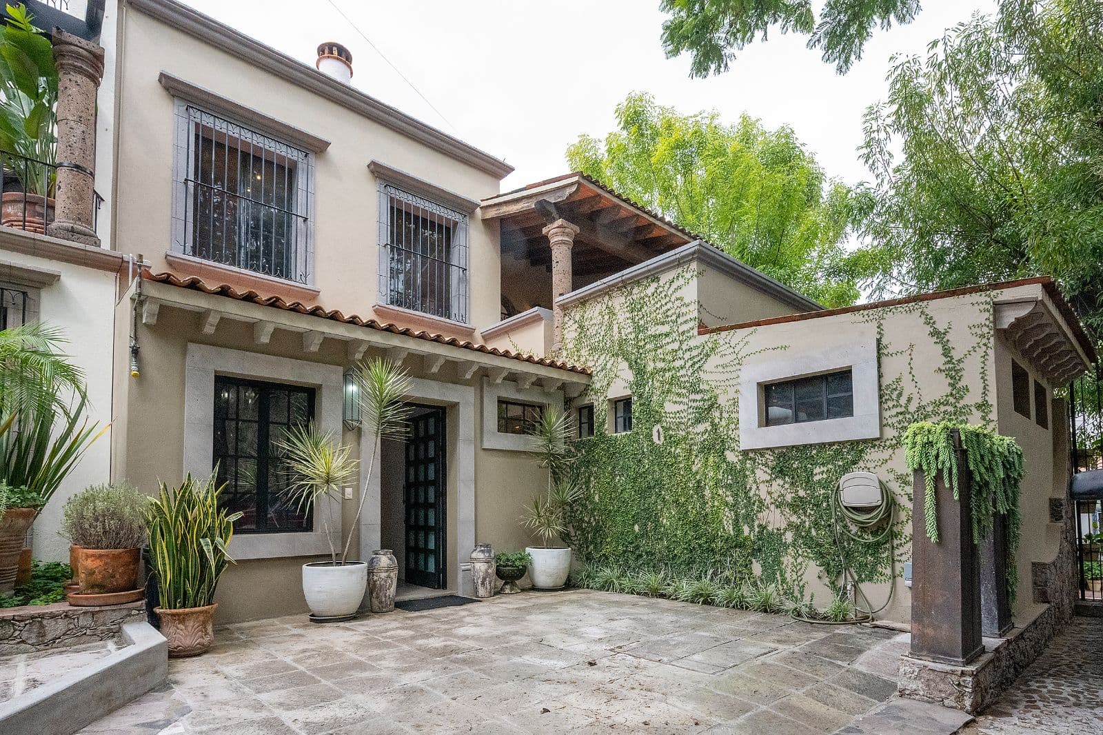 Casa Fia — Centro, San Miguel de Allende — photo 2 — charming courtyard, cascading ivy elegance
