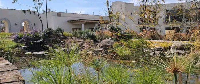 Villa Mila — La Luminaria, San Miguel de Allende — photo 25 — serene water garden, architectural elegance