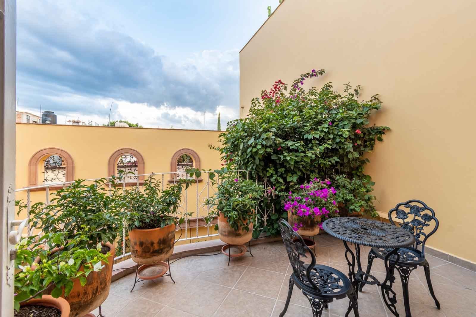 CASA ARCO de LUZ — Guadalupe, San Miguel de Allende — photo 18 — charming rooftop terrace, blooming gardens
