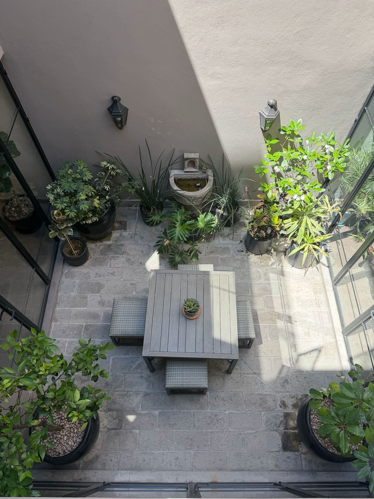 Casa Miel — San Antonio, San Miguel de Allende — photo 2 — serene courtyard, lush botanical sanctuary