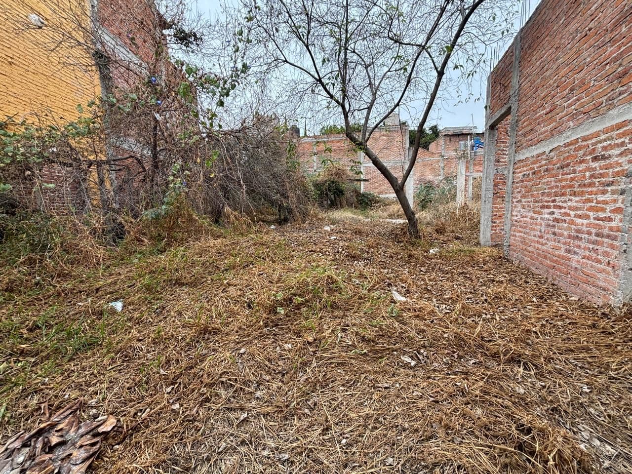 San Rafael Lot — San Rafael, San Miguel de Allende — photo 2