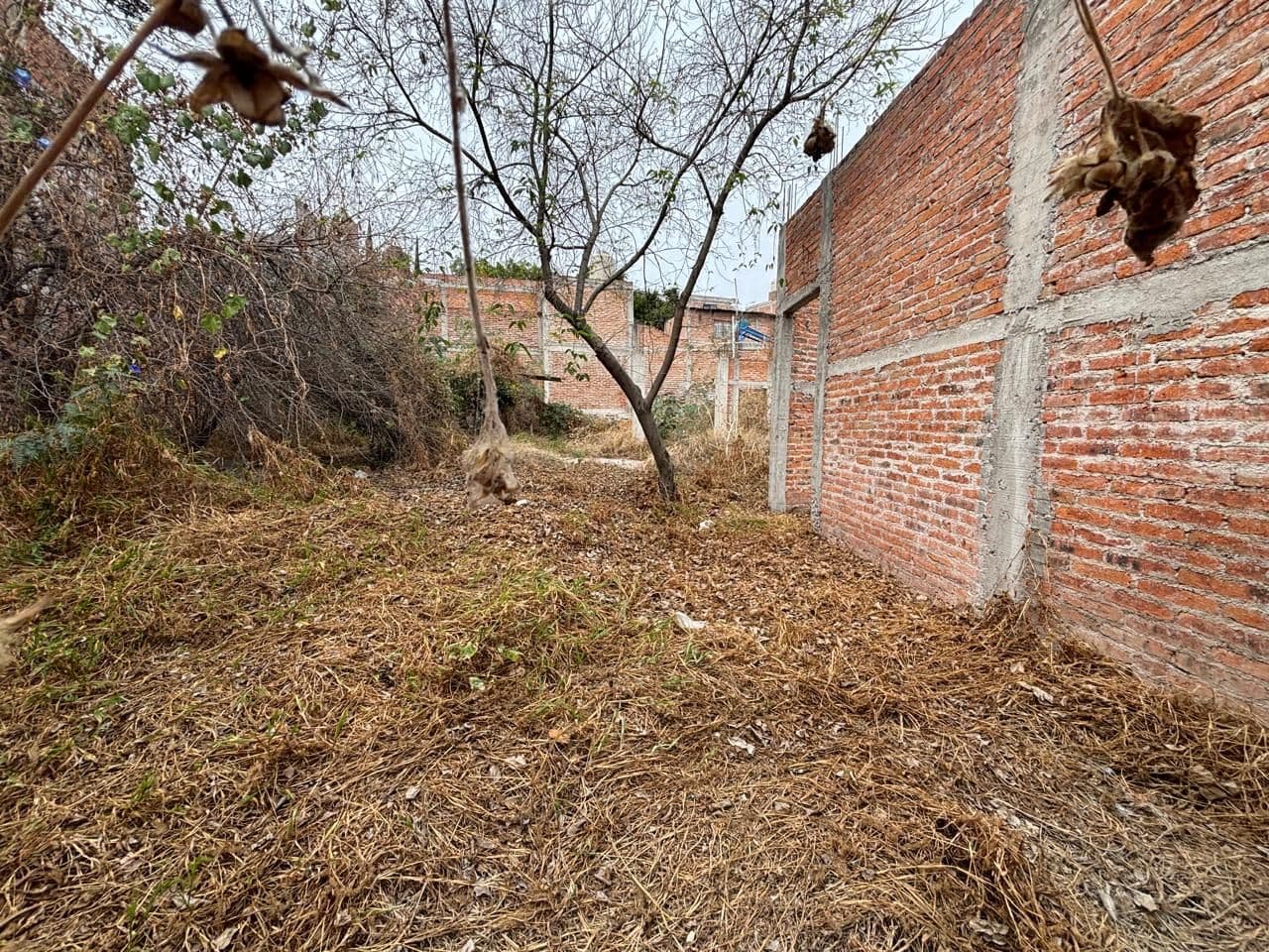 San Rafael Lot — San Rafael, San Miguel de Allende — photo 7