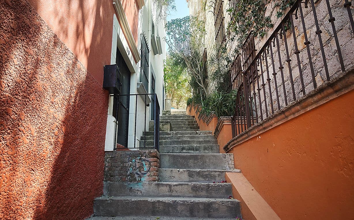 Proyecto Cjon. De Chepito — Centro, San Miguel de Allende — photo 28 — charming cobblestone passageway, verdant privacy