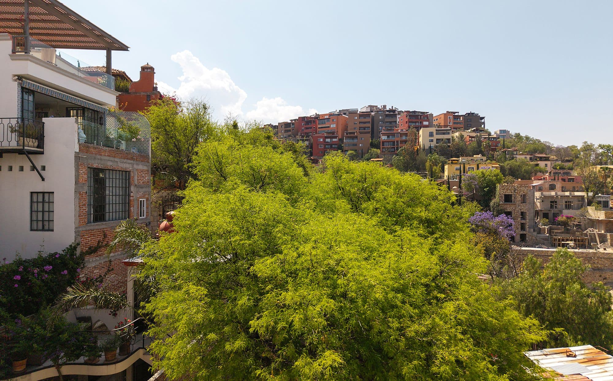 Proyecto Cjon. De Chepito — Centro, San Miguel de Allende — photo 5 — lush garden views, charming colonial architecture