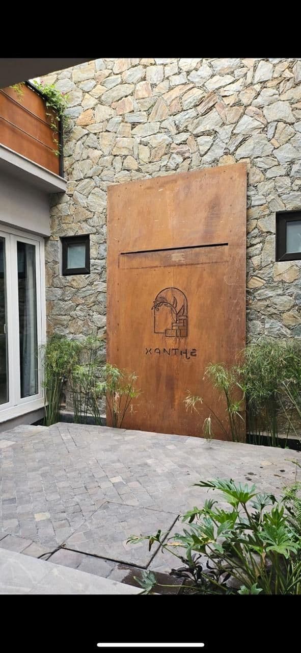 RECREO 15 — Centro, San Miguel de Allende — photo 4 — artistic courtyard with contemporary metal sculpture
