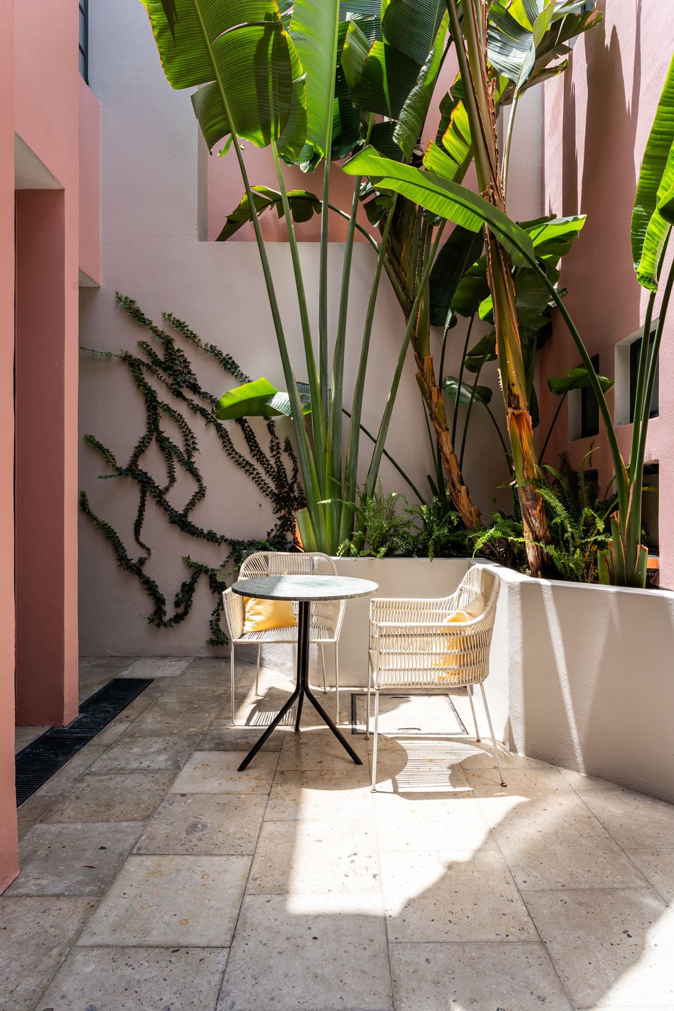 The Brooklane — Centro, San Miguel de Allende — photo 21 — sunlit courtyard, tropical garden sanctuary