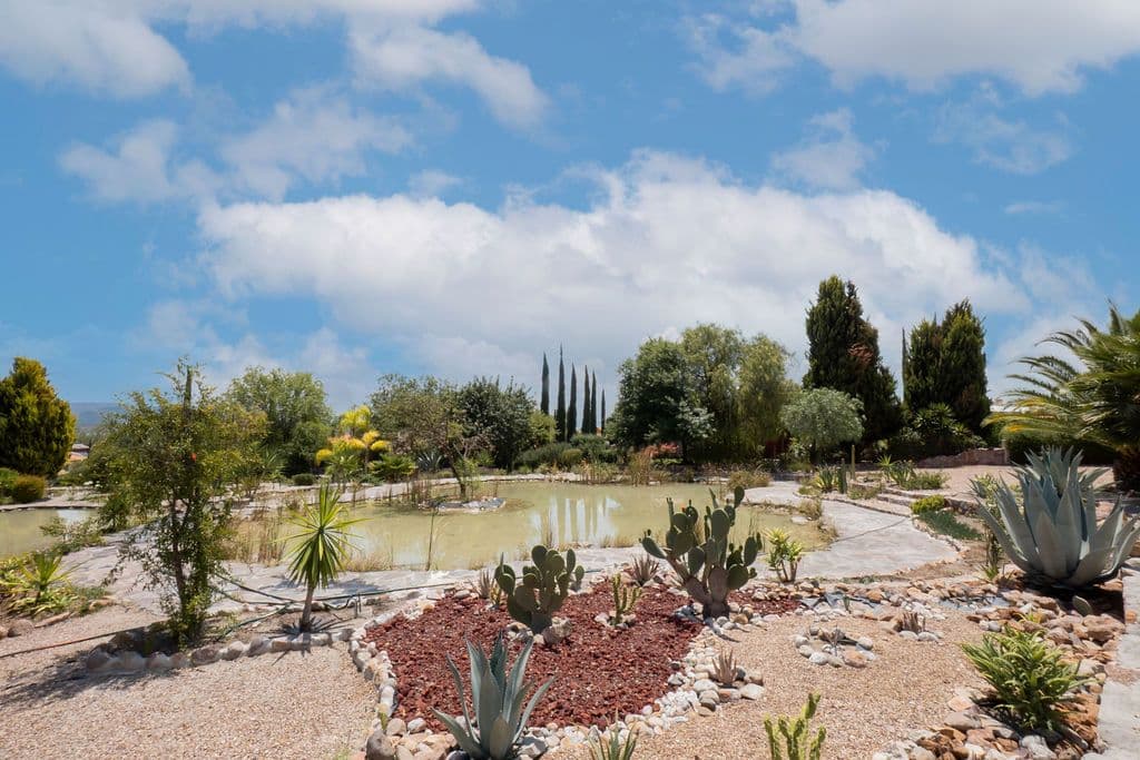 Casa Arcoiris en Rancho Los Labradores — Los Labradores, San Miguel de Allende — photo 13 — serene botanical oasis with water features