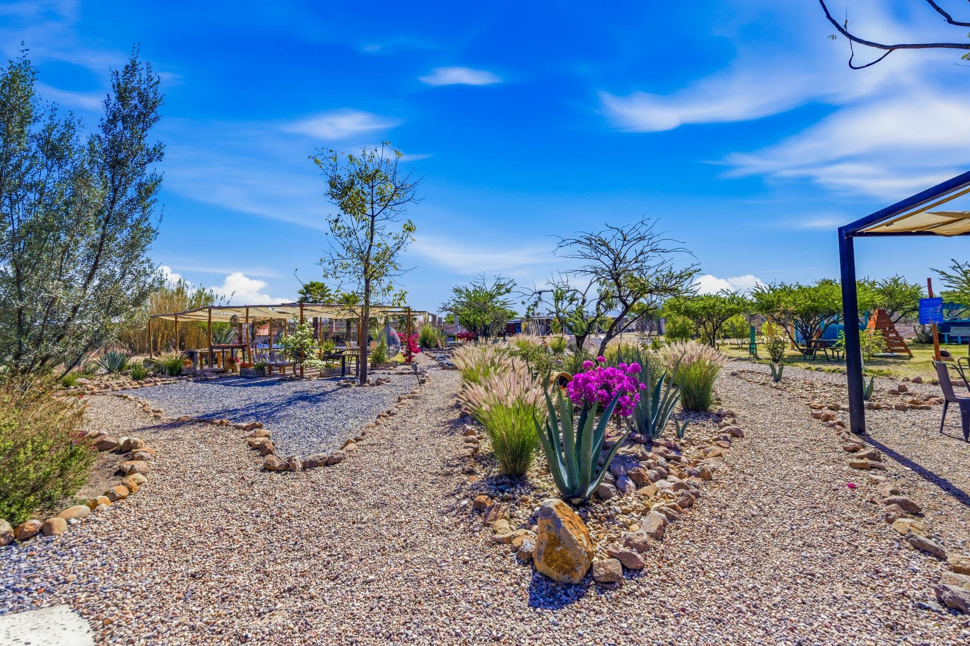 Casa Pavo Real — Sosnabar, San Miguel de Allende — photo 18 — serene desert garden, thoughtfully landscaped