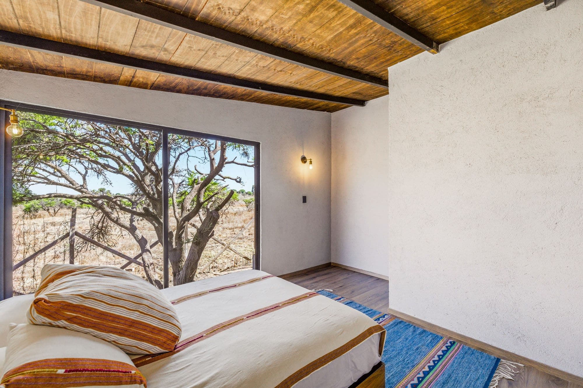 Casa Pavo Real — Sosnabar, San Miguel de Allende — photo 12 — serene retreat with sculptural views