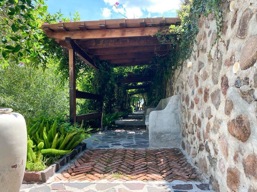 Casa Huerta La Antigua — Antigua Residencial, San Miguel de Allende — photo 8 — charming stone passageway, verdant canopy retreat