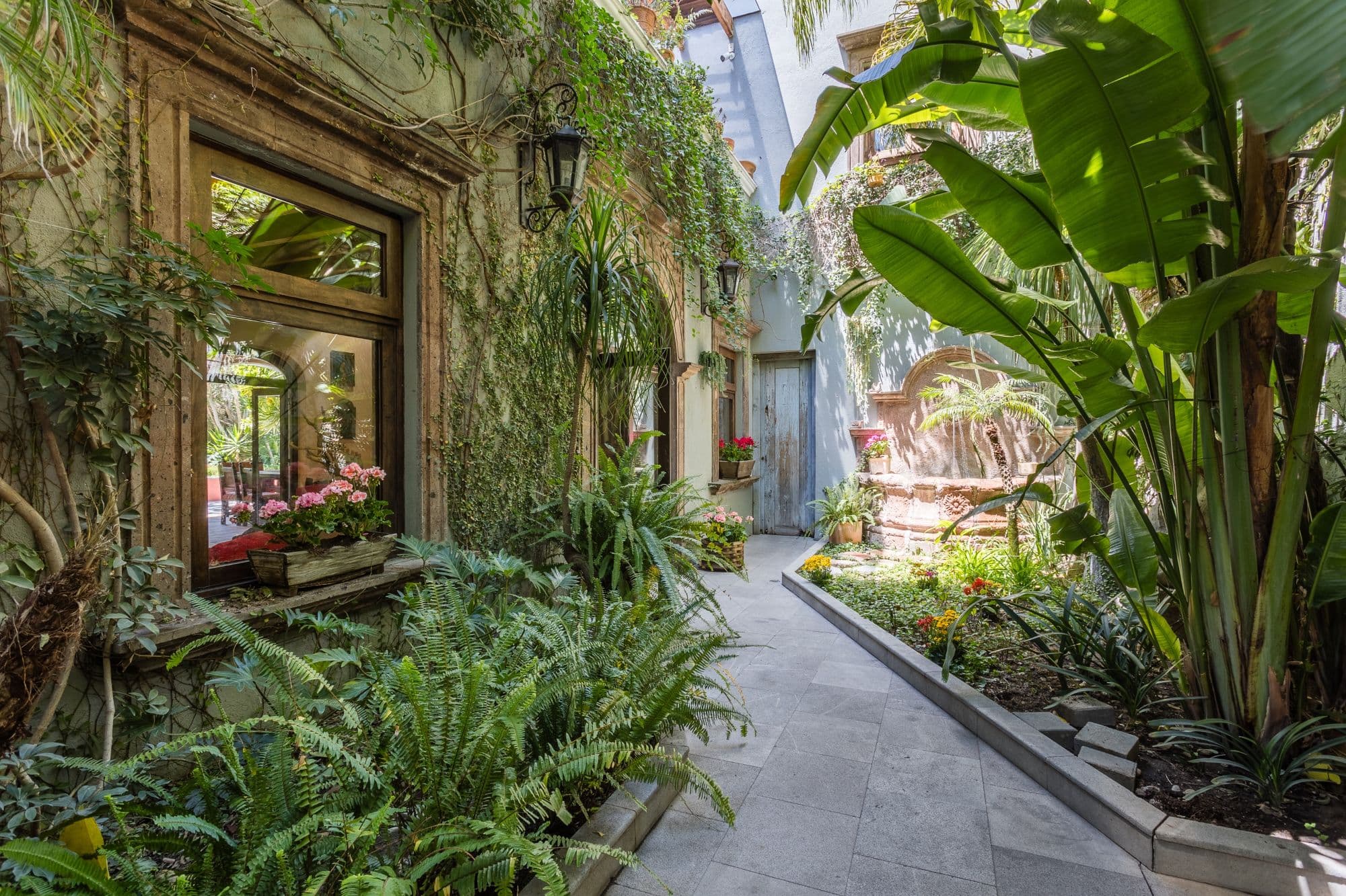 Casa de los Limones — San Antonio, San Miguel de Allende — photo 33 — lush tropical courtyard, verdant colonial charm