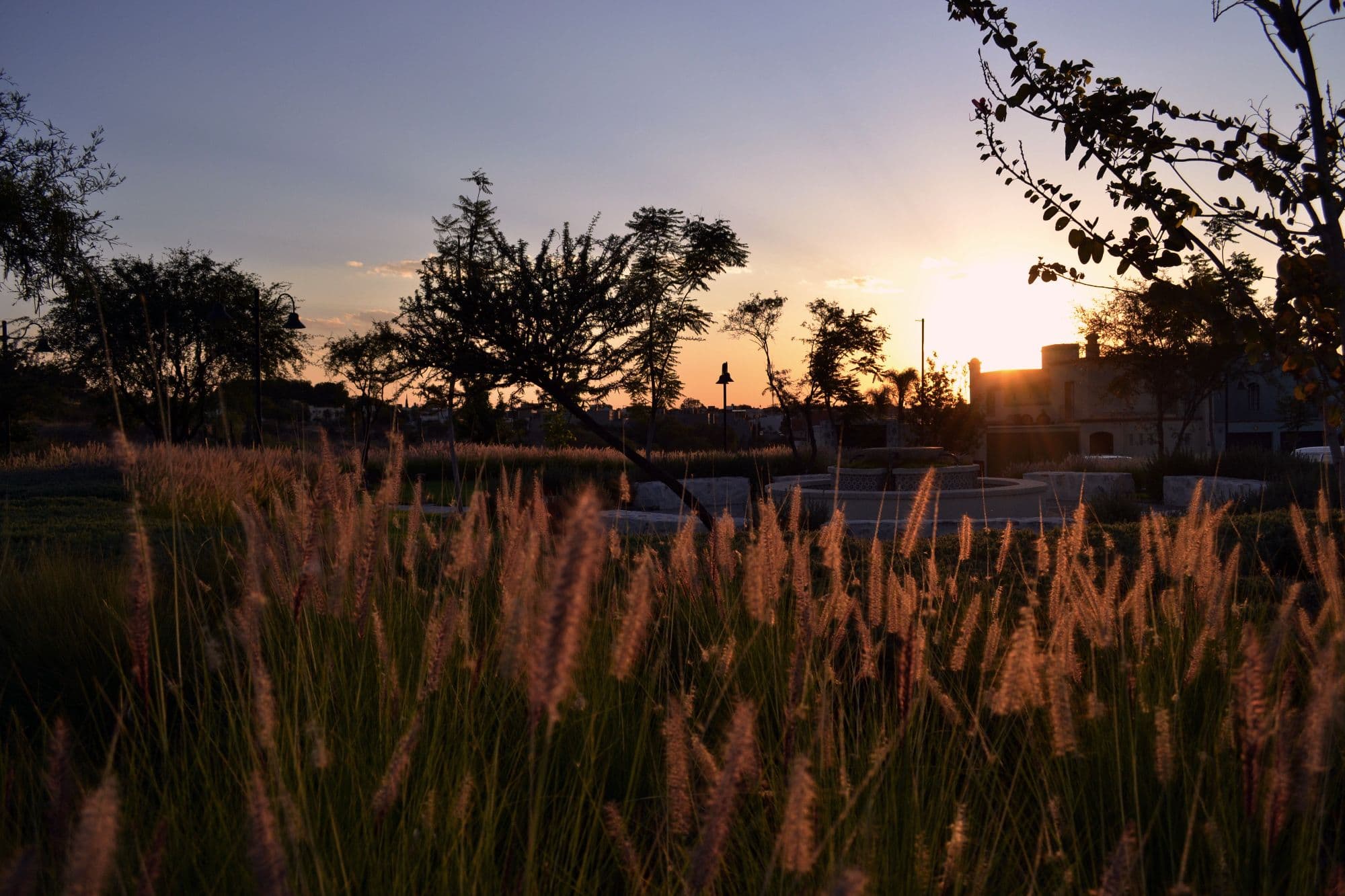 Casa Angeles Residencial La Luminaria — Atascadero (Arcos de San Miguel), San Miguel de Allende — photo 14 — golden hour, native grasses, serene vista