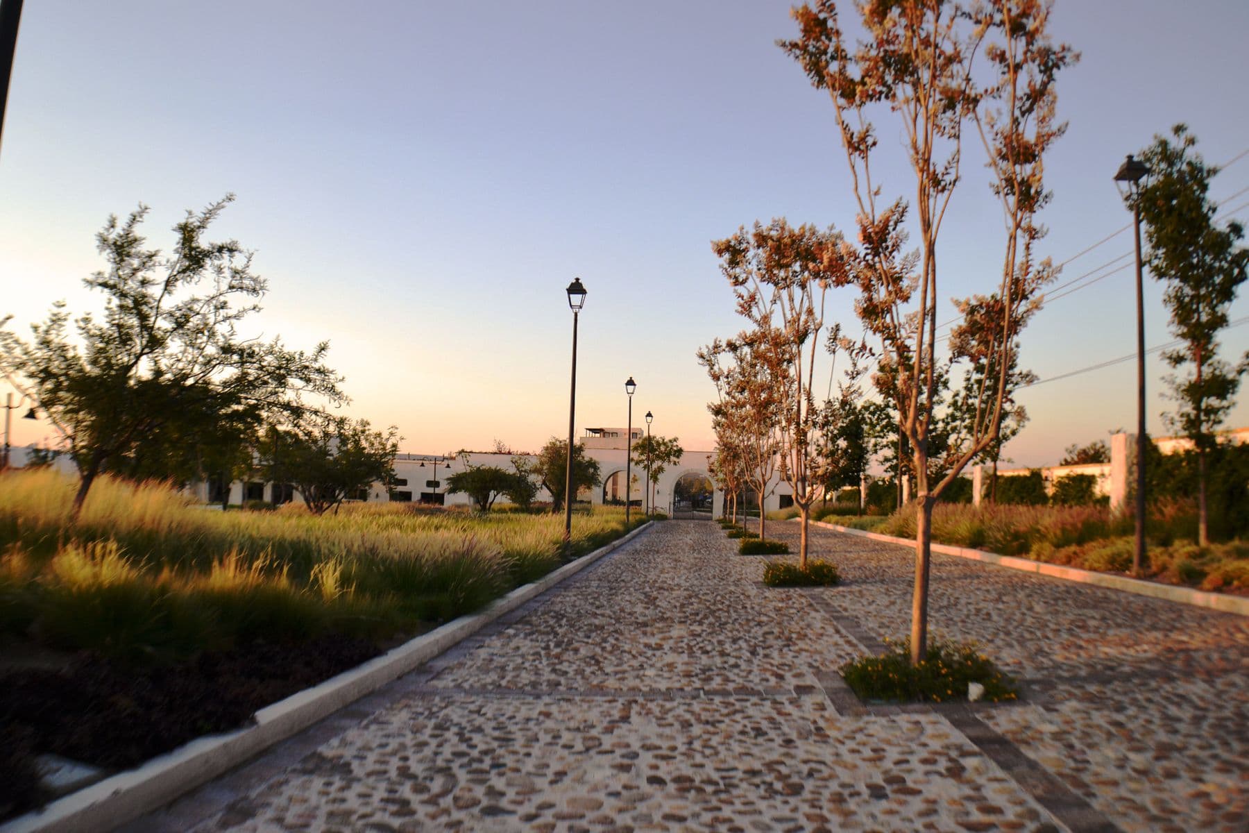 Casa Angeles Residencial La Luminaria — Atascadero (Arcos de San Miguel), San Miguel de Allende — photo 15 — serene tree-lined promenade, golden hour elegance