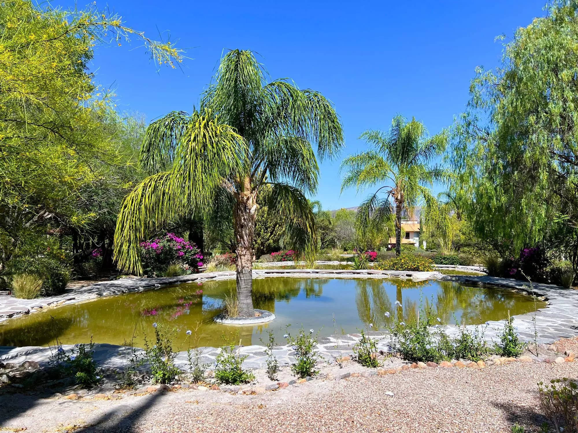 Colonial Charm - Los Labradores Community — Los Labradores, San Miguel de Allende — photo 18