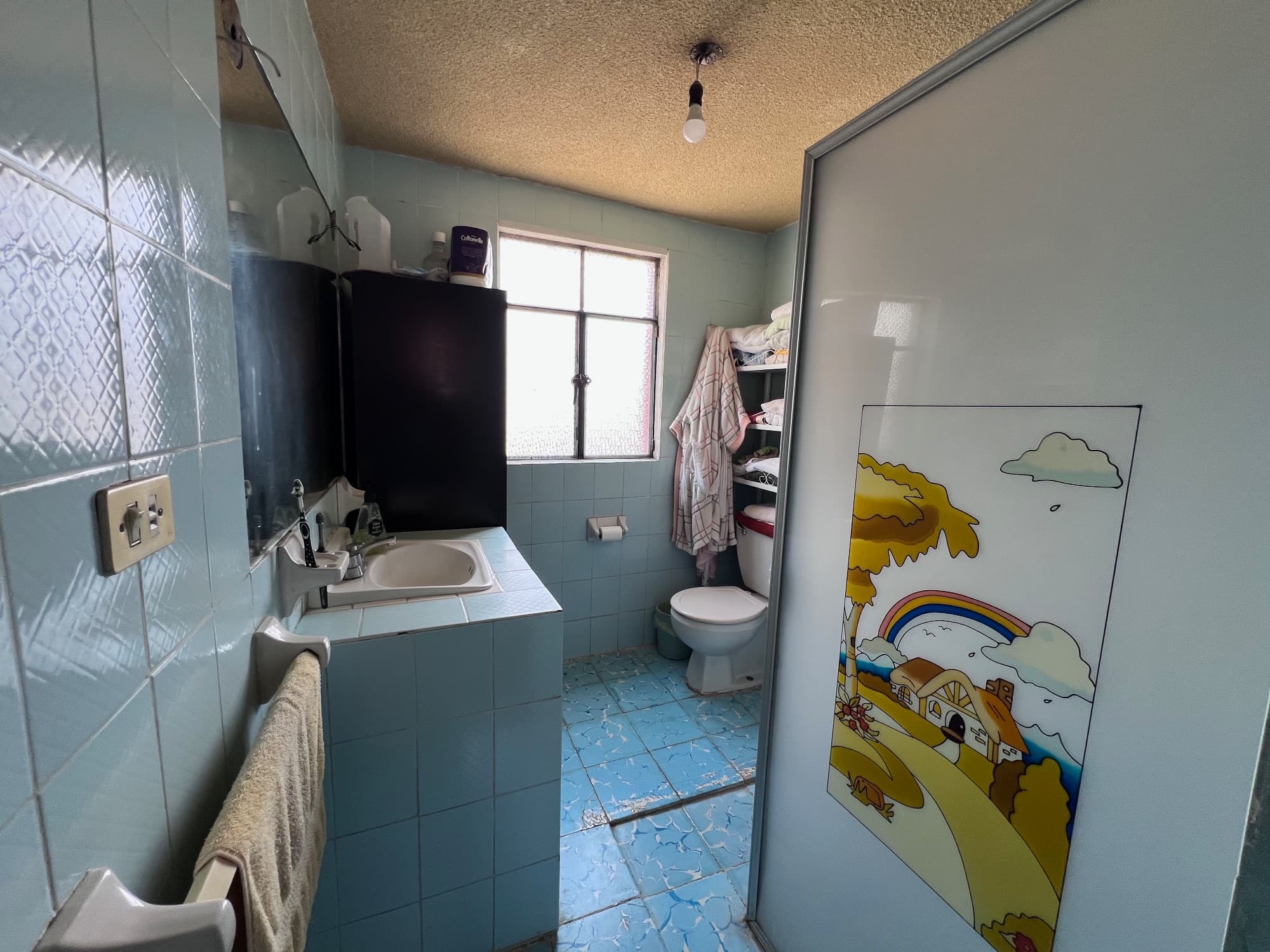 Casa Tatanacho - FIXER UPPER — Guadalupe, San Miguel de Allende — photo 6 — charming vintage bathroom with natural light