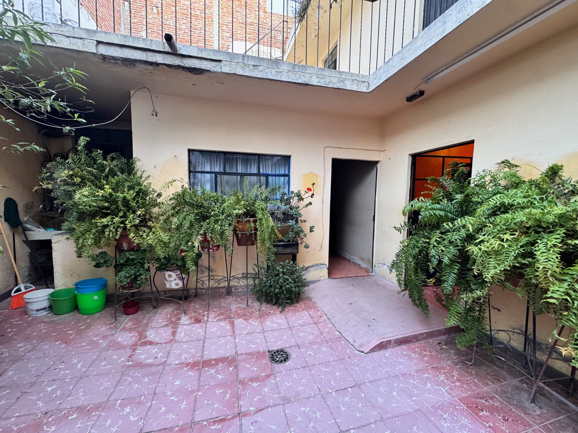 Casa Tatanacho - FIXER UPPER — Guadalupe, San Miguel de Allende — photo 9 — charming courtyard, verdant plant sanctuary