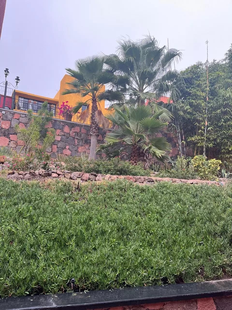 Casa 14 MIRAFLORES — Lindavista, San Miguel de Allende — photo 3 — lush garden, vibrant colonial architecture