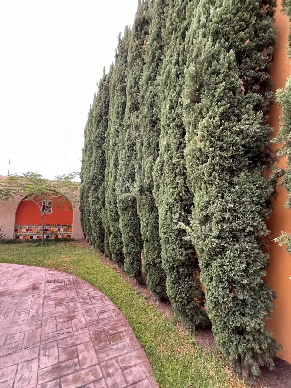 Casa 14 MIRAFLORES — Lindavista, San Miguel de Allende — photo 17