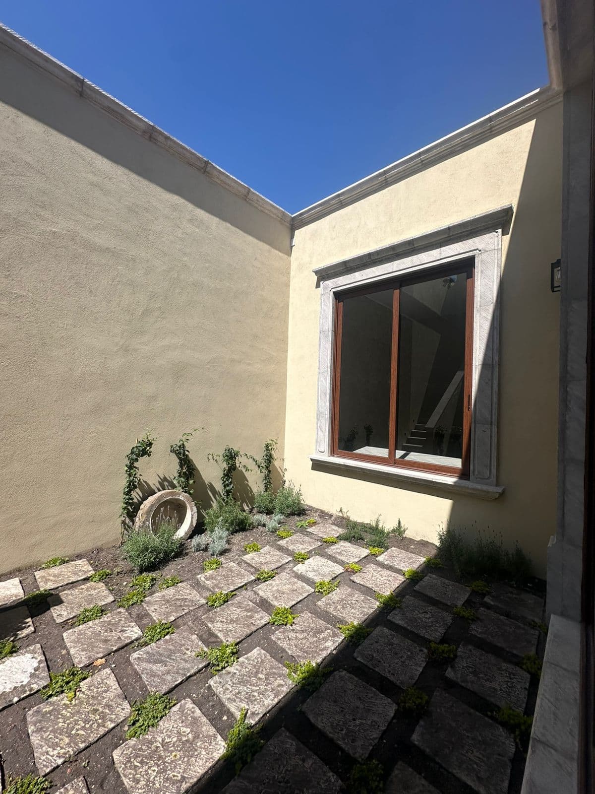 Casa Olivos — Residencial Malanquin la Mesa, San Miguel de Allende — photo 10 — charming courtyard with natural light