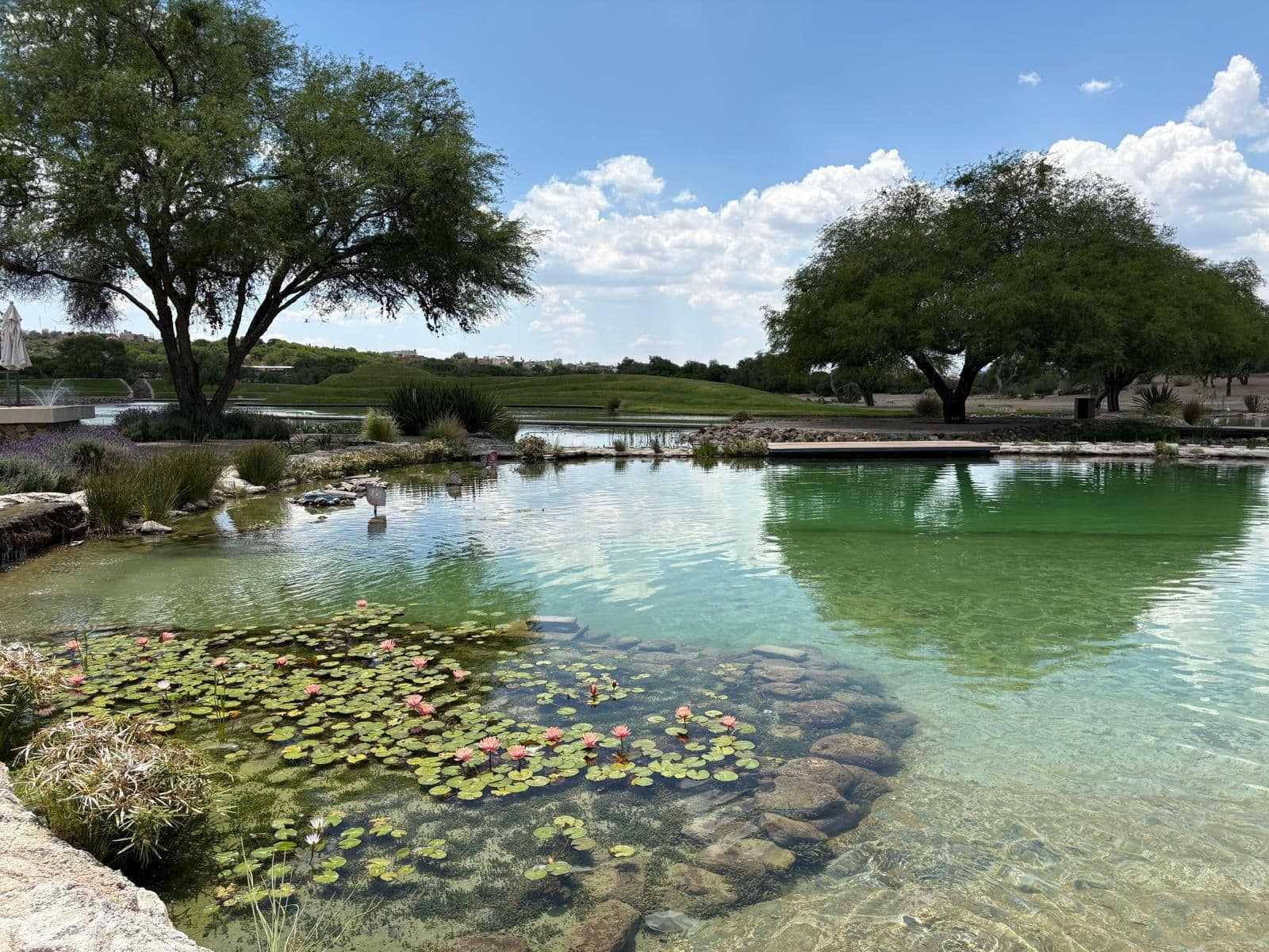Villas Muros 10 — Los Senderos, Valle de los, San Miguel de Allende — photo 10 — serene water gardens, mature shade trees