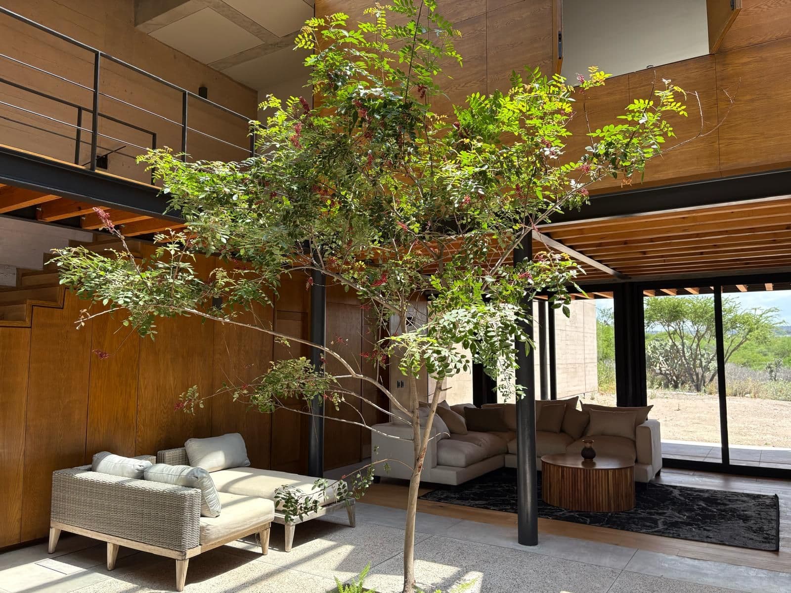 Villas Muros 10 — Los Senderos, Valle de los, San Miguel de Allende — photo 4 — sophisticated living with verdant indoor garden