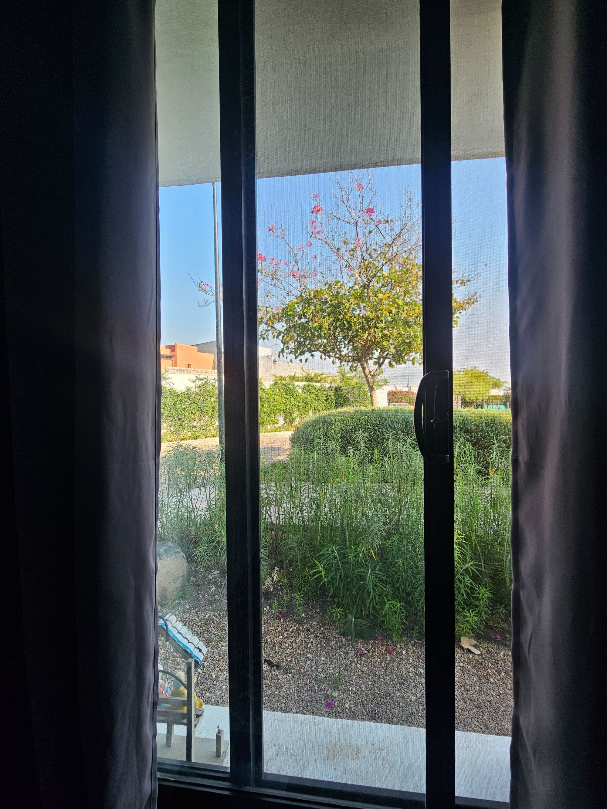 Condo Colores en Luminaria — La Luminaria, San Miguel de Allende — photo 10 — serene garden views, contemporary frame design