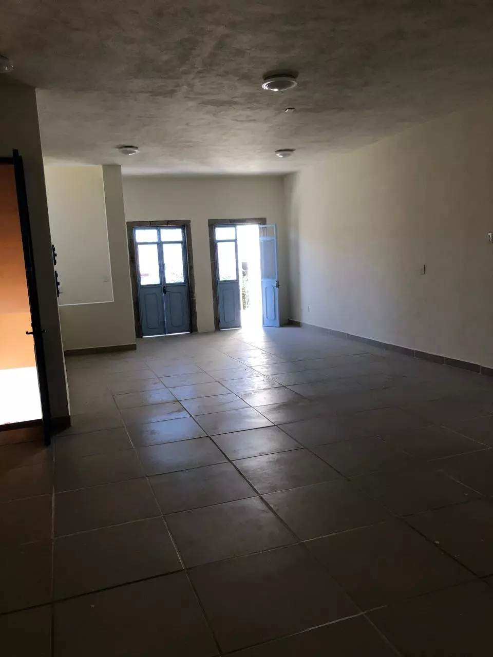 Casa Organica — Guadalupe, San Miguel de Allende — photo 3 — bright, expansive gallery with natural light