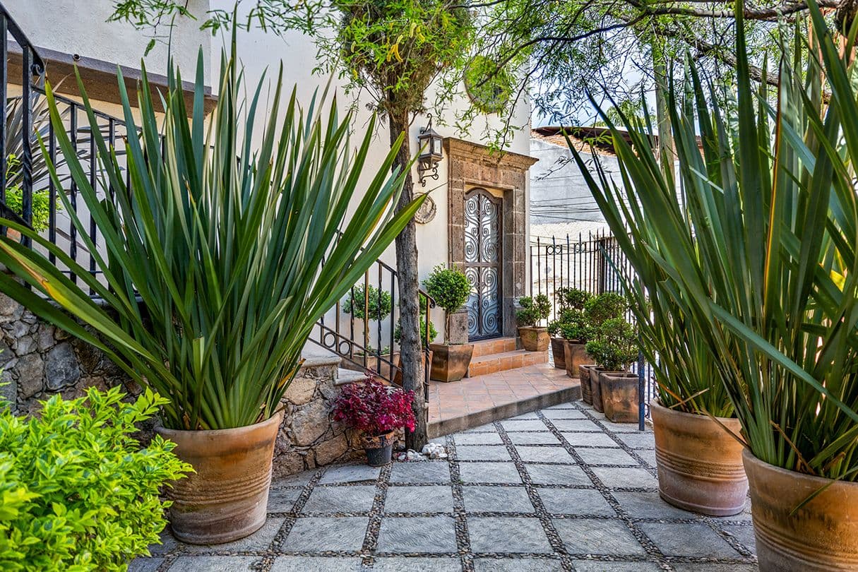 Casa Buho — Guadiana, San Miguel de Allende — photo 2 — charming colonial courtyard with lush plantings
