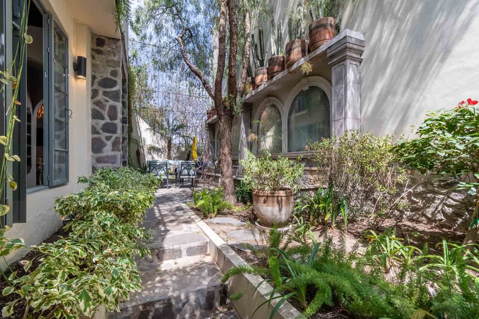 The Hidden Enclave — Centro, San Miguel de Allende — photo 7 — charming courtyard, mature trees, dappled sunlight