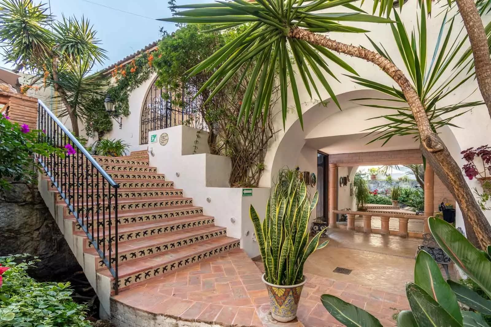 Villa Mariposa — Atascadero (Arcos de San Miguel), San Miguel de Allende — photo 8 — enchanting courtyard with cascading greenery