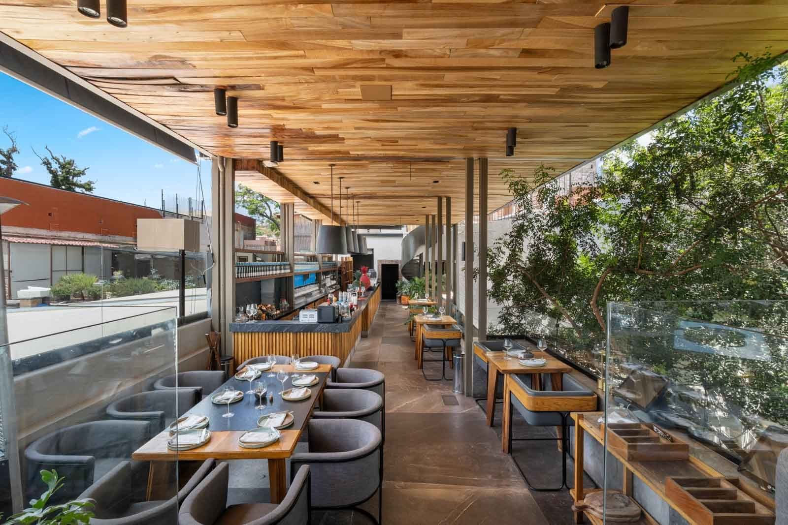 Sollano 18 — Centro, San Miguel de Allende — photo 9 — sophisticated rooftop dining, verdant ambiance