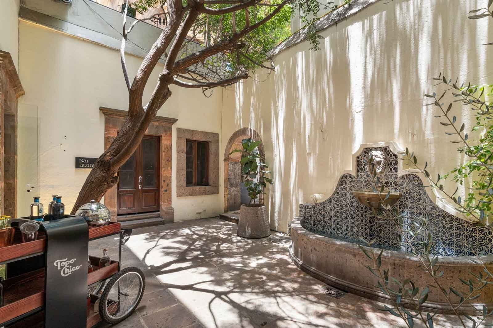 Sollano 18 — Centro, San Miguel de Allende — photo 3 — charming courtyard with mature shade tree