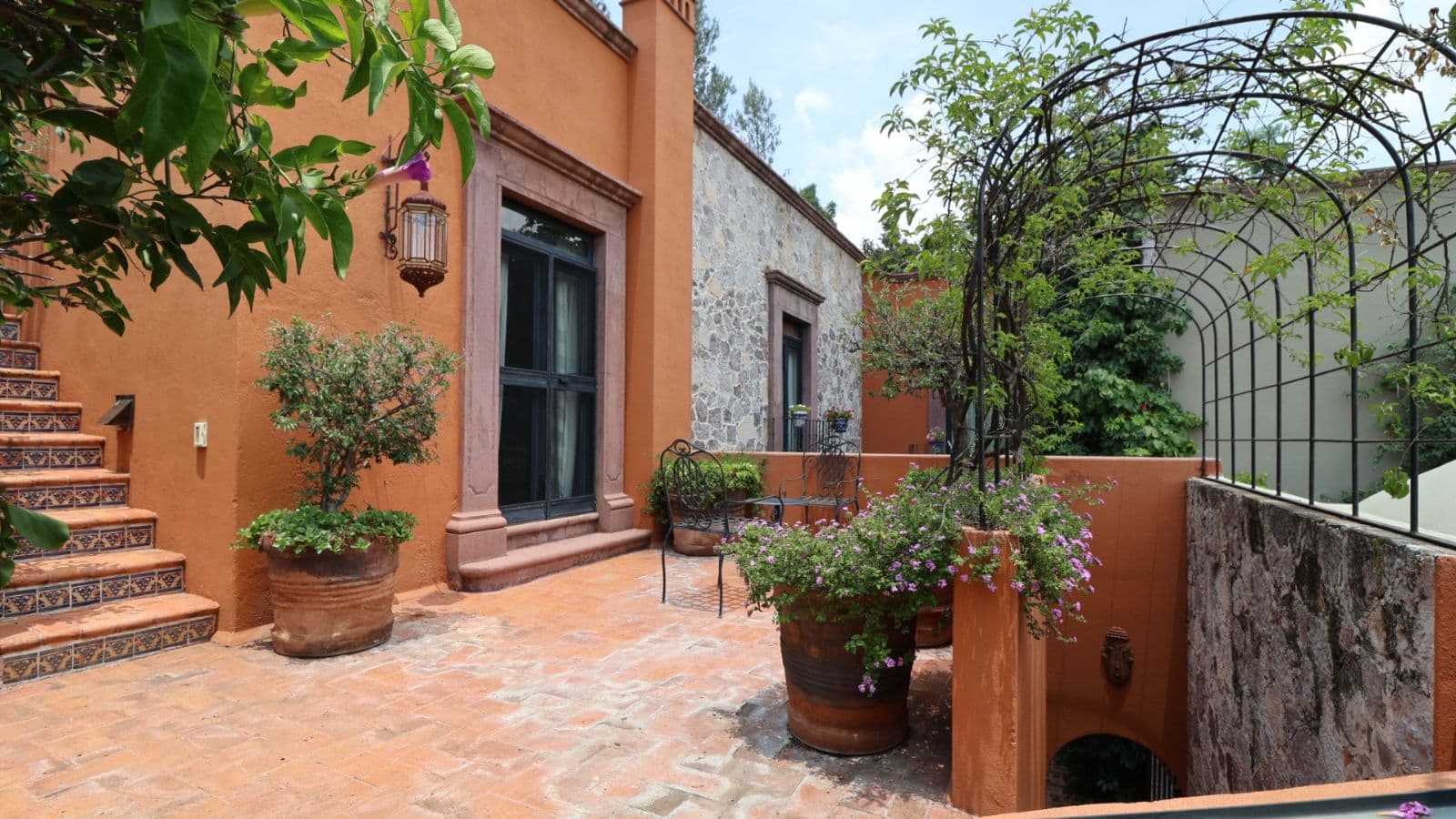 Casa Gibson — Centro, San Miguel de Allende — photo 36 — charming courtyard with climbing vines
