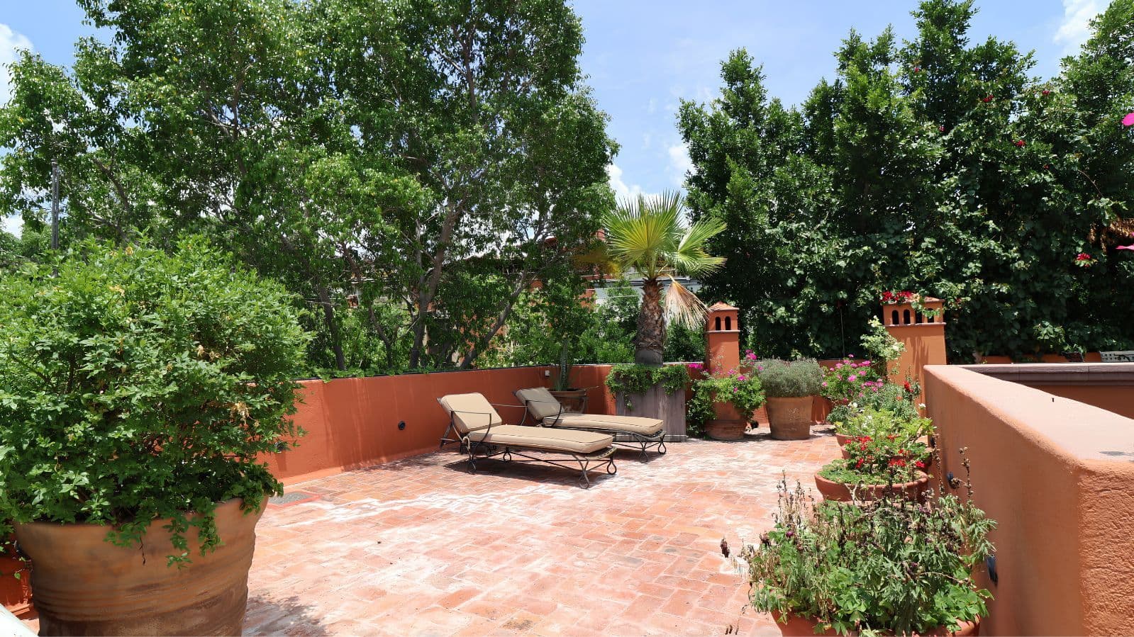 Casa Gibson — Centro, San Miguel de Allende — photo 32 — serene rooftop terrace, lush gardens
