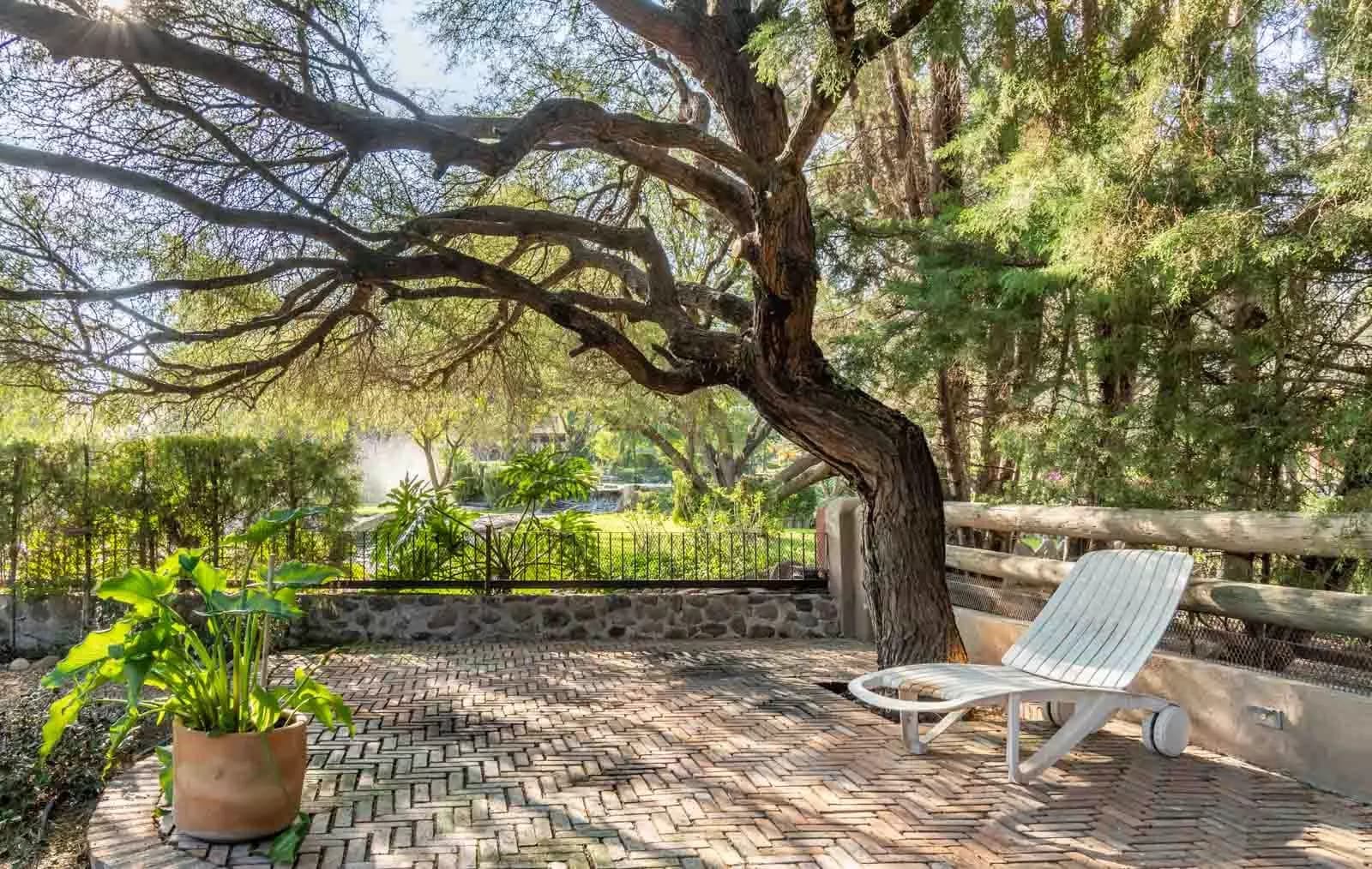 Casa Leo — Los Labradores, San Miguel de Allende — photo 25