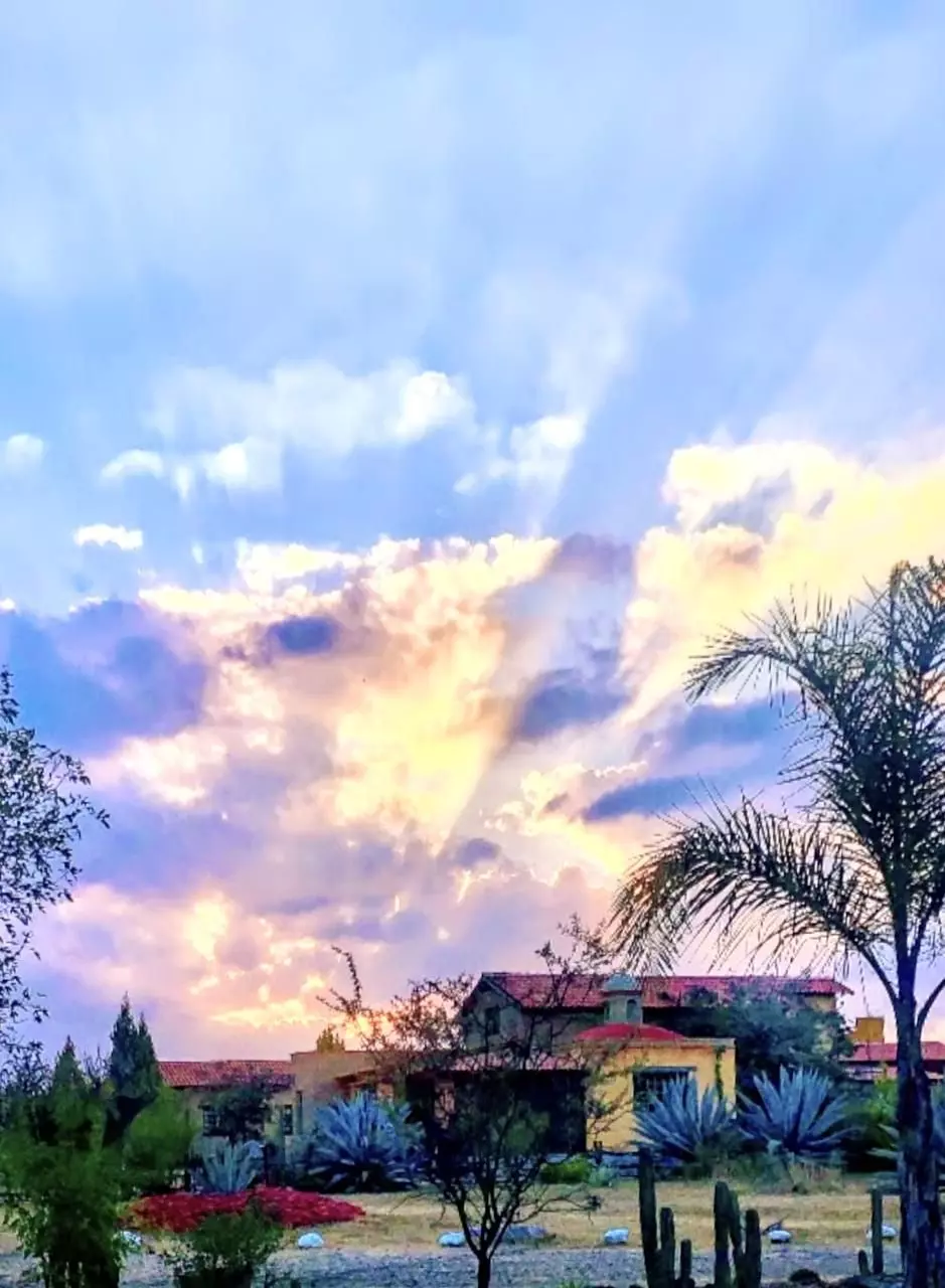 Casa Los Olivos — San Virgilio, San Miguel de Allende — photo 6 — golden hour, dramatic sky, colonial charm