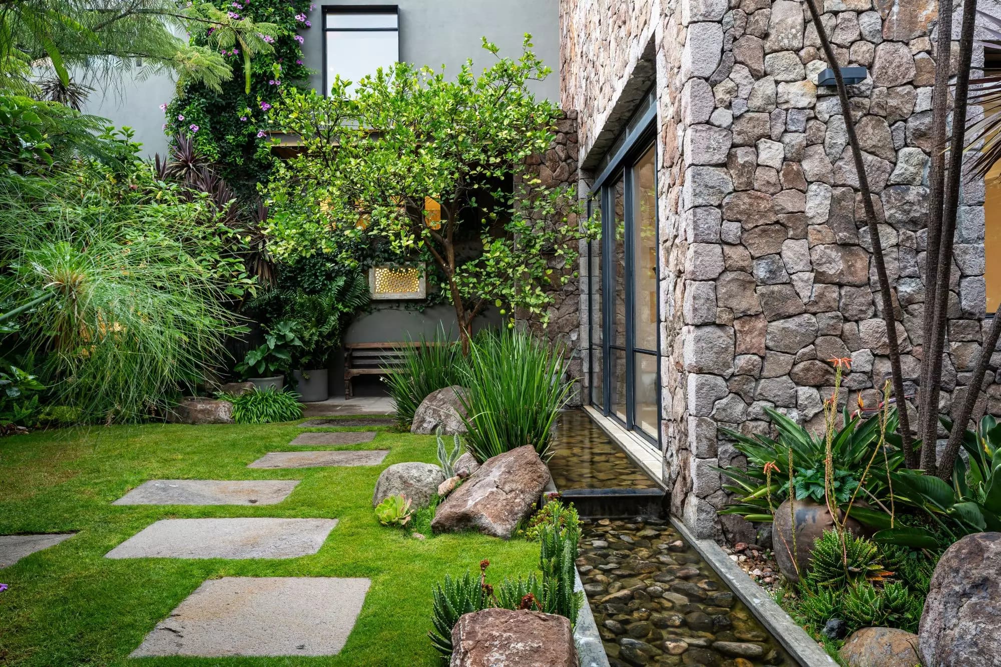 Mirador del Charco — Rinconada de Los Balcones, San Miguel de Allende — photo 2 — serene courtyard, lush verdant sanctuary