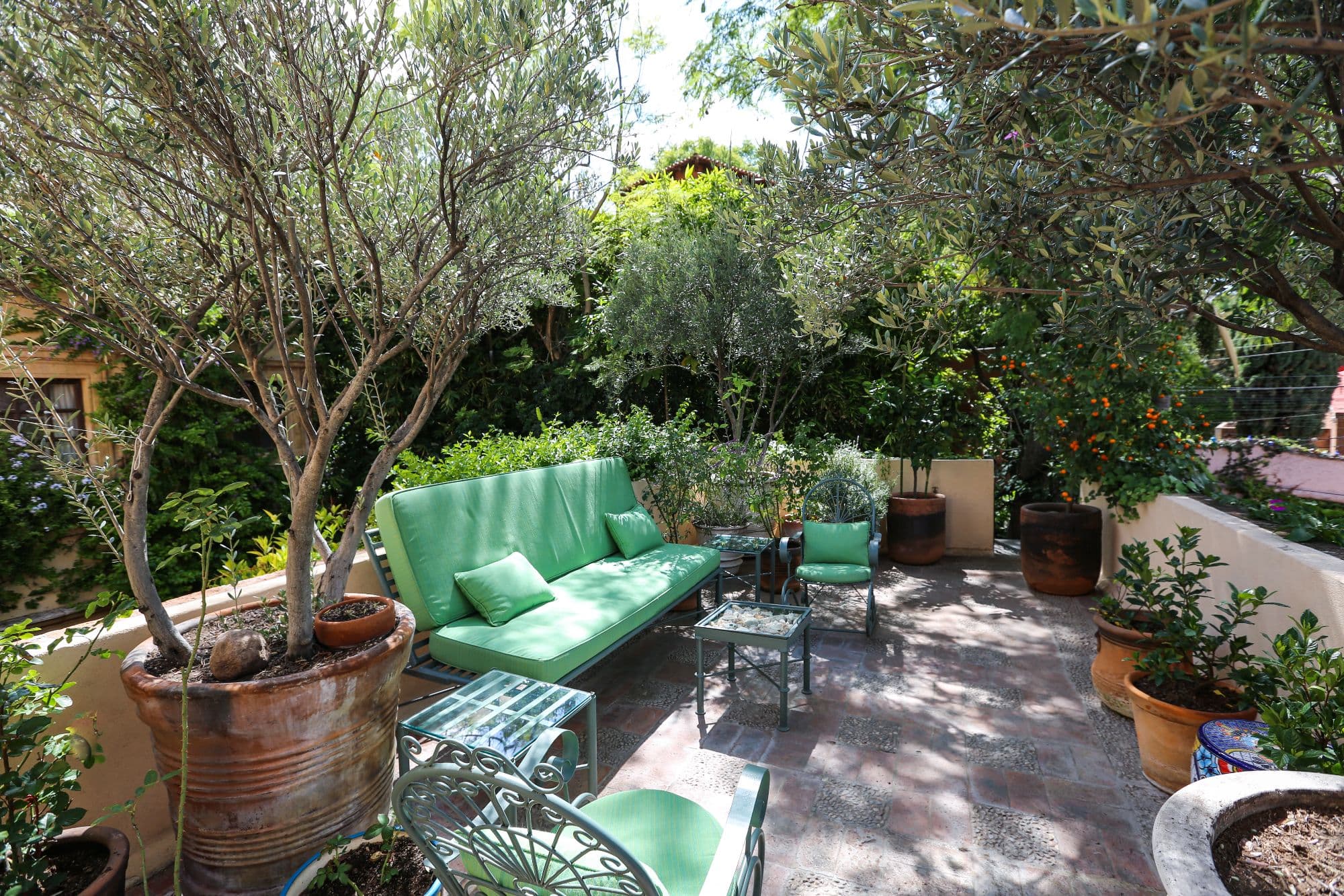 Casa Baeza — San Miguel de Allende Centro, San Miguel de Allende — photo 18 — verdant terrace with dappled sunlight