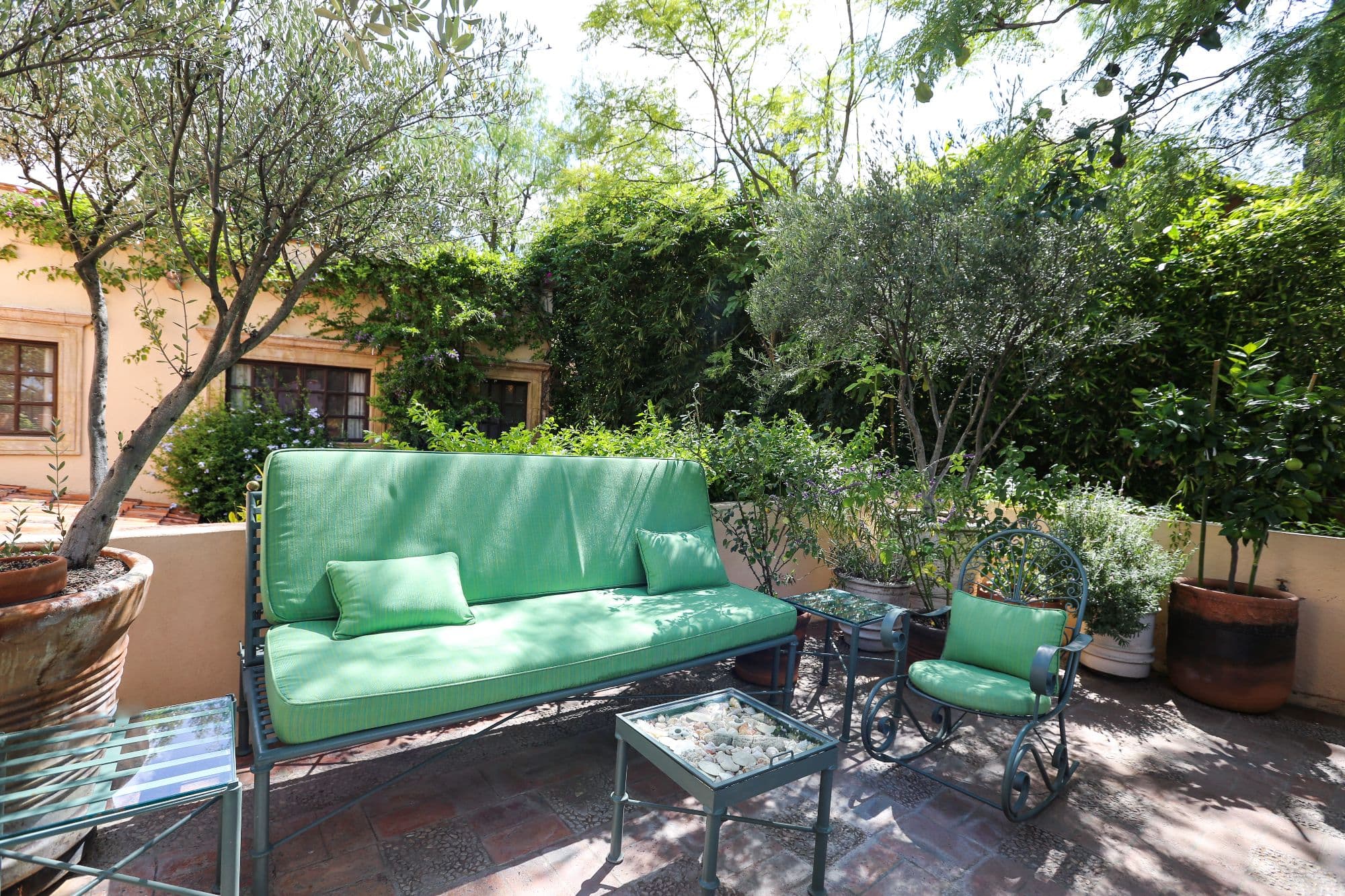 Casa Baeza — San Miguel de Allende Centro, San Miguel de Allende — photo 19 — verdant courtyard oasis, dappled light