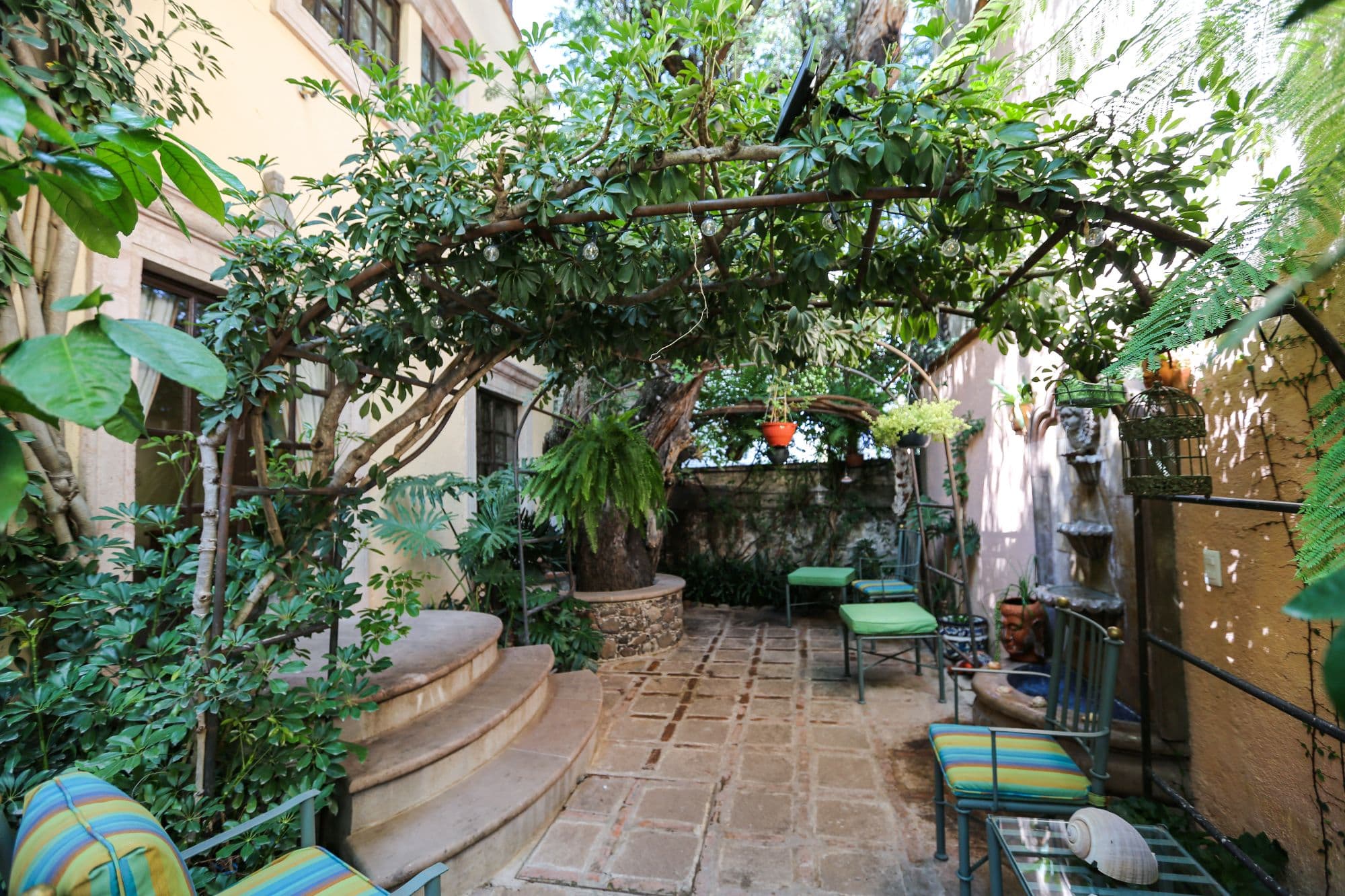 Casa Baeza — San Miguel de Allende Centro, San Miguel de Allende — photo 20 — enchanting verdant courtyard sanctuary