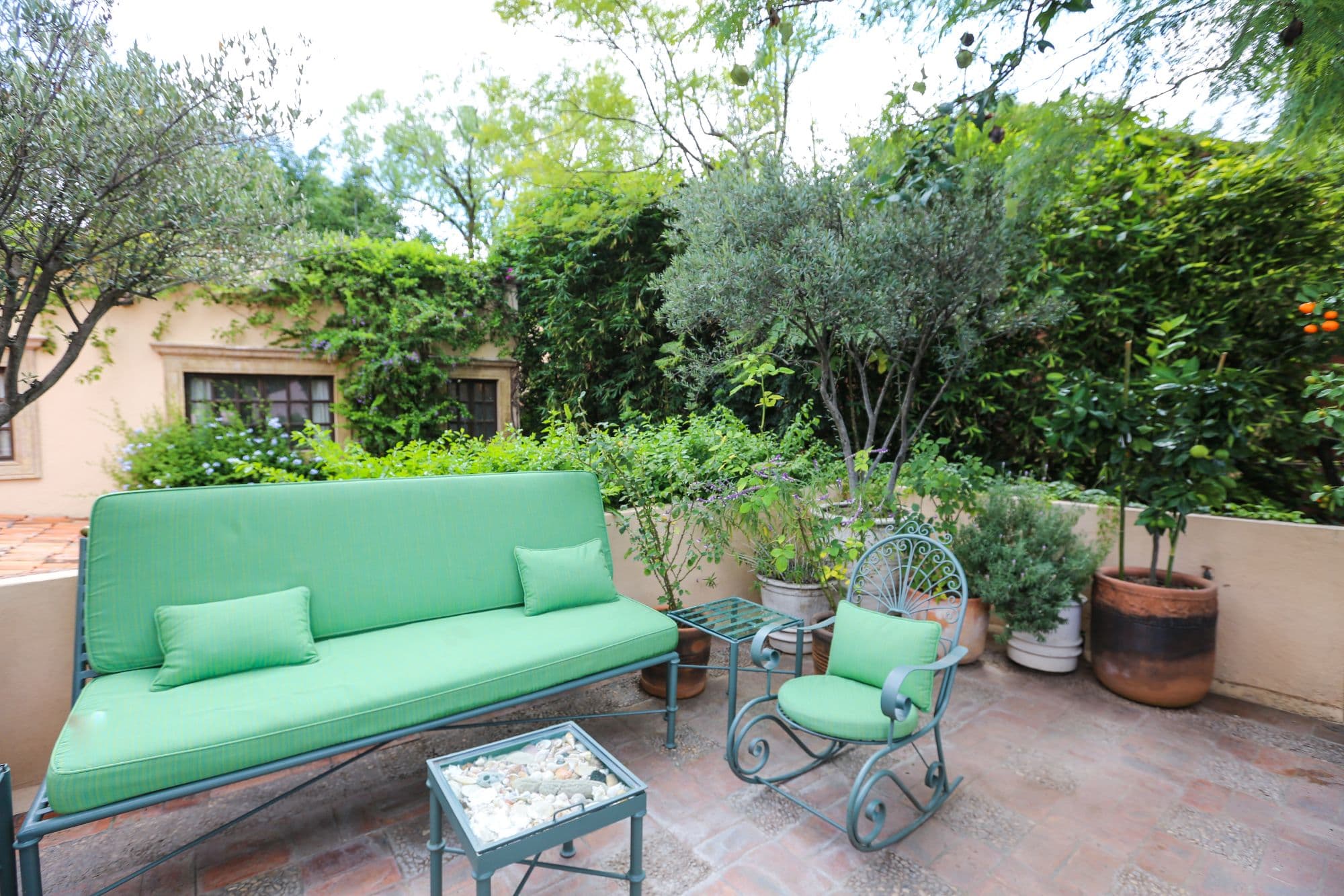 Casa Baeza — San Miguel de Allende Centro, San Miguel de Allende — photo 10 — verdant courtyard oasis, timeless elegance