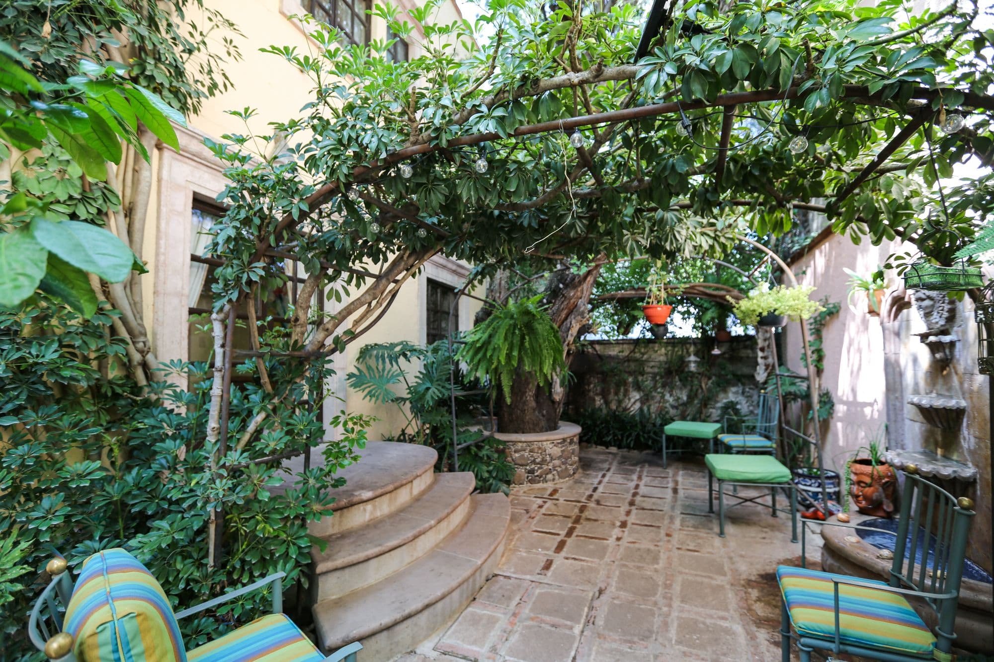 Casa Baeza — San Miguel de Allende Centro, San Miguel de Allende — photo 23 — enchanting courtyard, mature vine-covered pergola