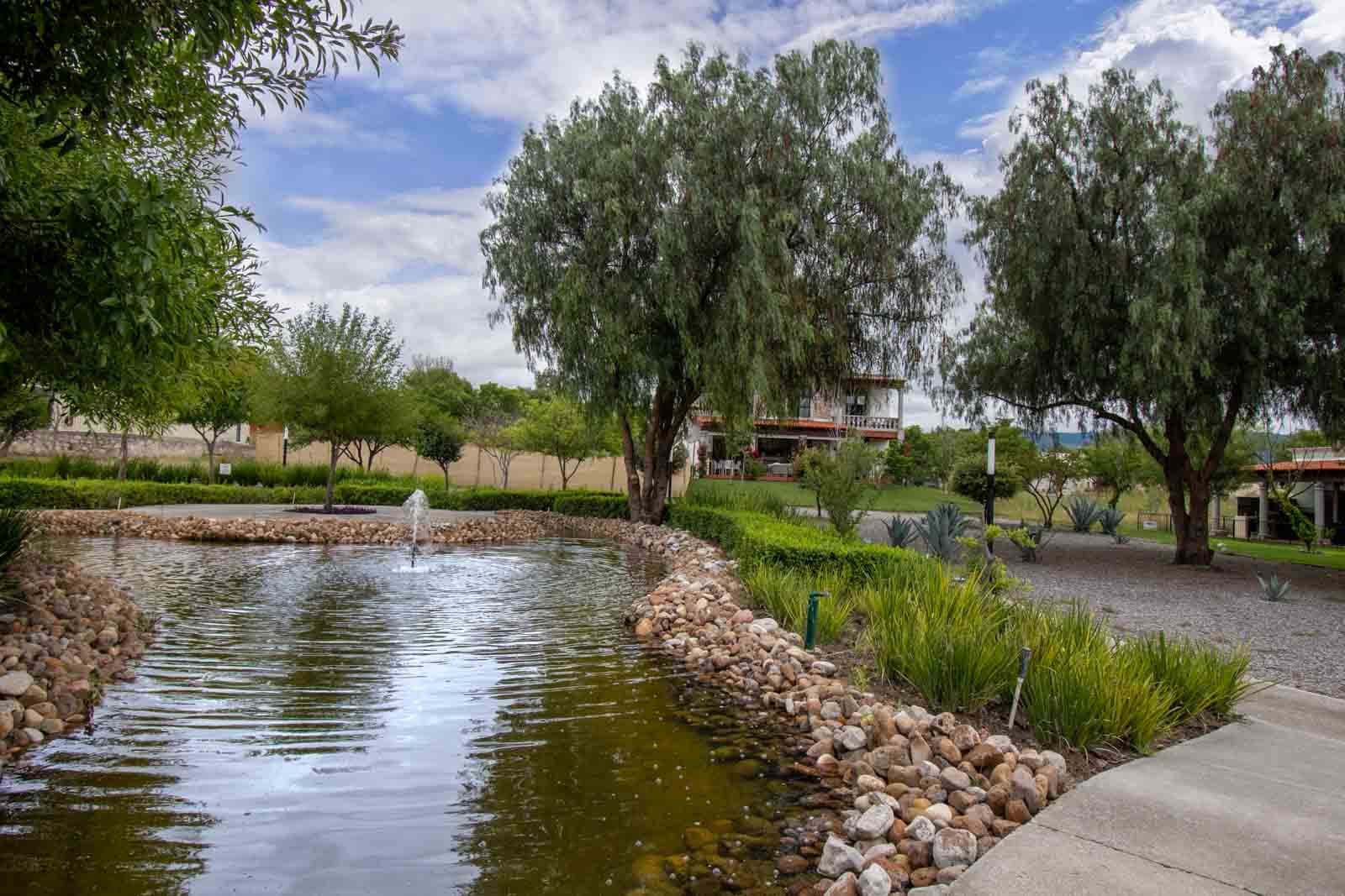 Casa Caterina — Las Campanas, San Miguel de Allende — photo 23 — serene waterfront retreat, verdant landscaping